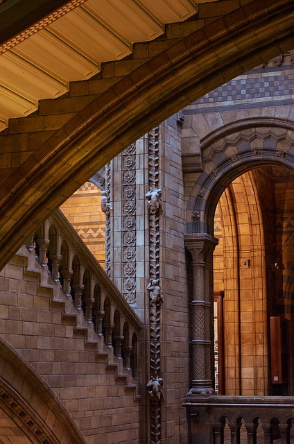 自然历史博物馆 伦敦 楼梯 - 上的免费照片