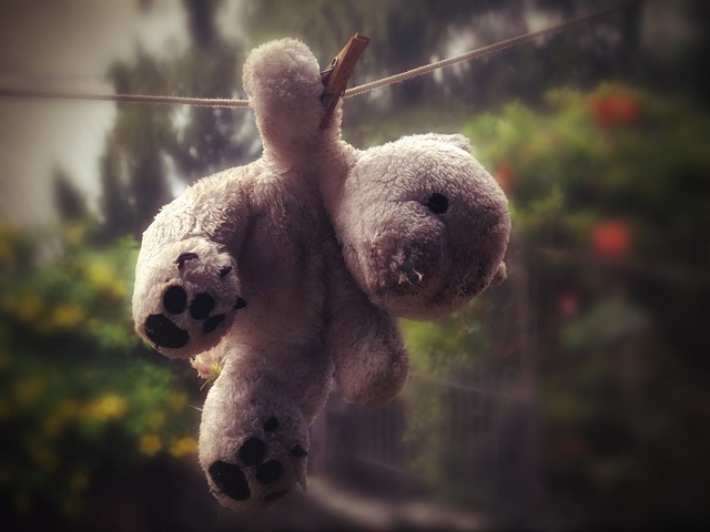 小熊 熊 晾衣绳 - 上的免费照片