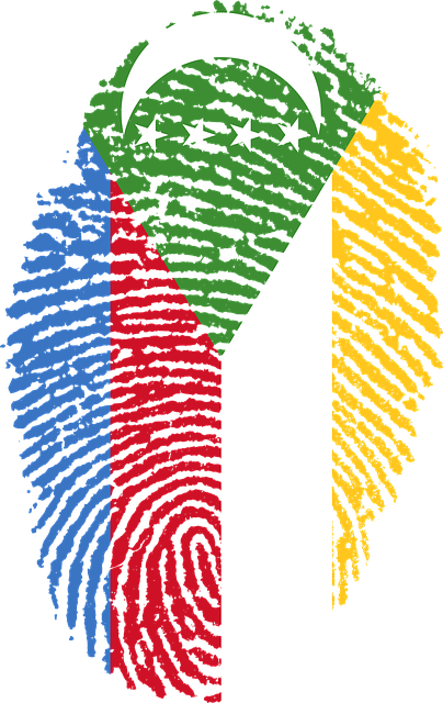 科摩罗 旗帜 指纹 - 上的免费图片