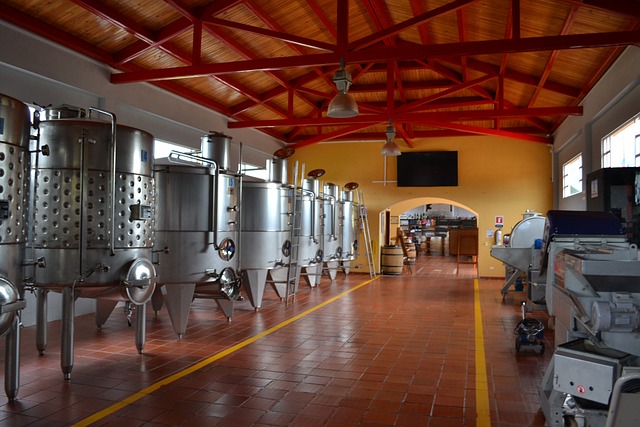 葡萄酒 生产 酒厂 - 上的免费照片