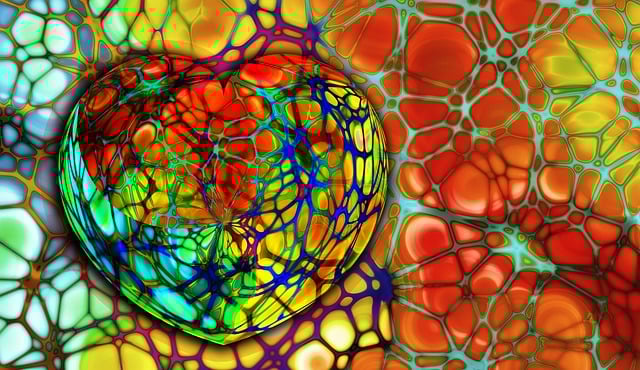 心 药品 健康 - 上的免费图片