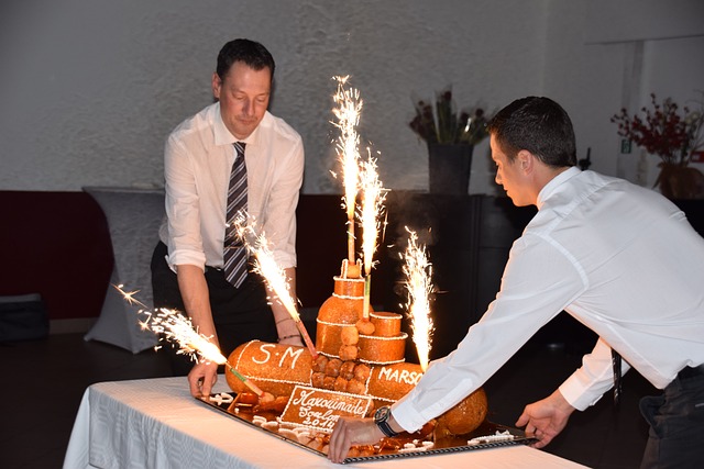 土伦 江豚 洛里昂 - 上的免费照片