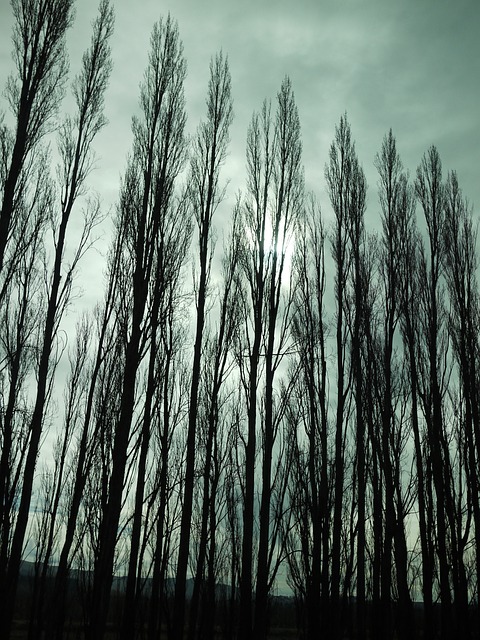 紐西蘭 風景 - 上的免费照片