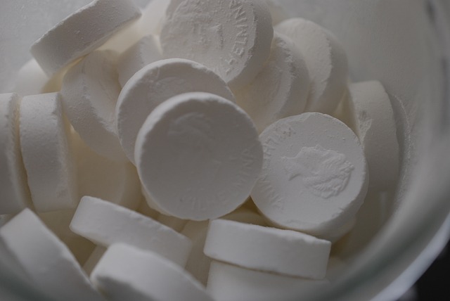 薄荷 糖果 白色的 - 上的免费照片