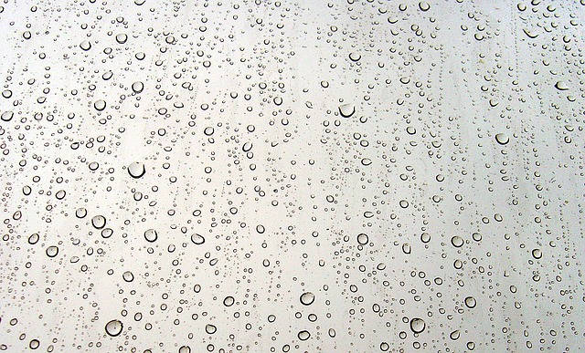痛风 雨 窗户 - 上的免费照片