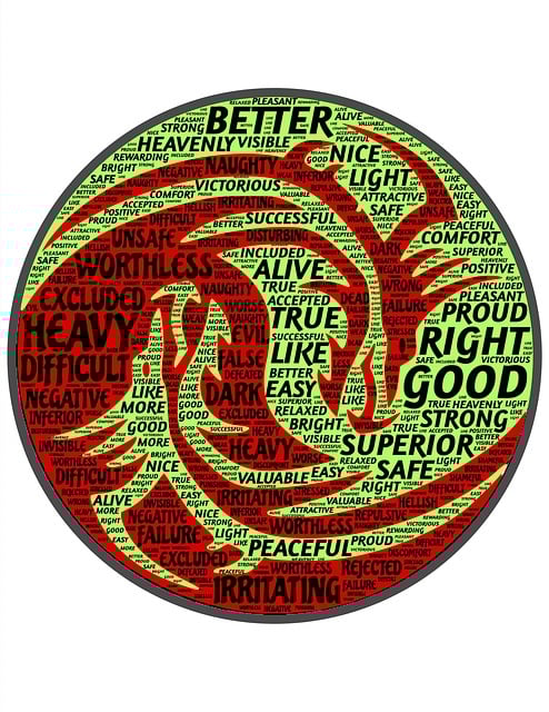 对立面 二元论 积极的 - 上的免费图片