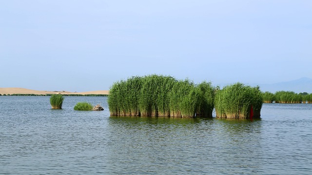 碧落 沙海 风景 - 上的免费照片