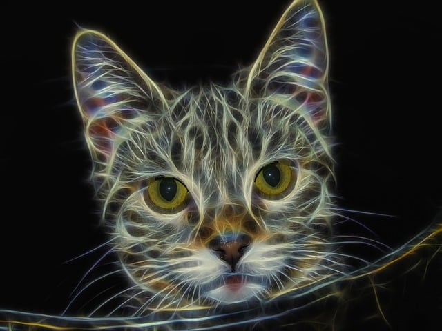 分形 猫 猫科动物 - 上的免费图片