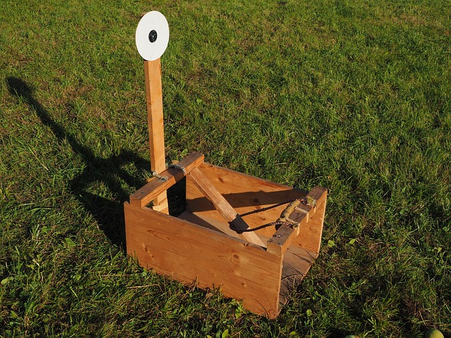 胡萝卜弹弓 弹弓 沼泽头机 - 上的免费照片