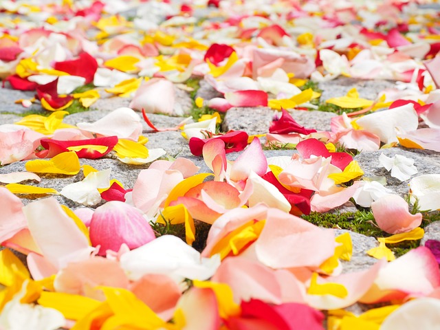 玫瑰花瓣 花瓣 婚礼 - 上的免费照片