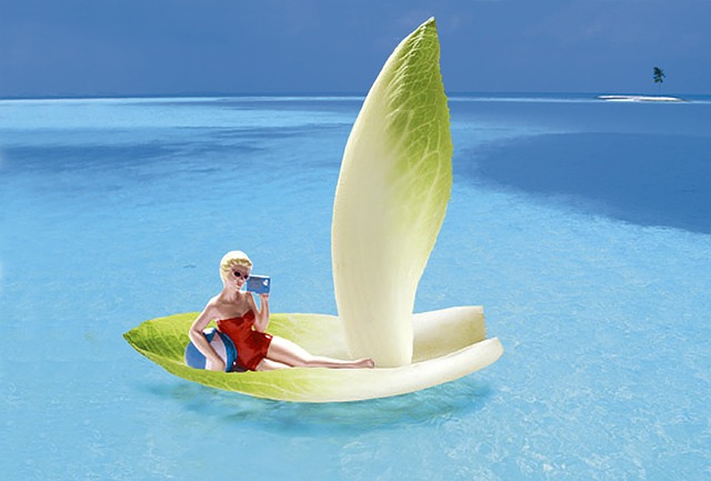 蔬菜 菊苣 船 - 上的免费照片
