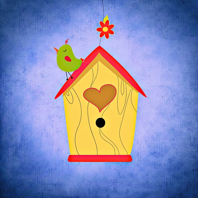 鸟巢 鸟 乐趣 - 上的免费图片