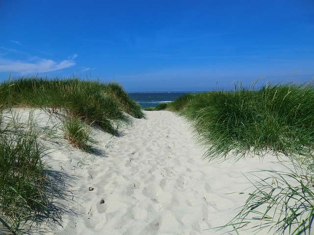 叙尔特岛 海滩 沙 - 上的免费照片