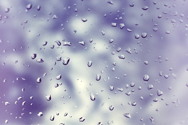 雨滴 窗口窗格 窗户 - 上的免费照片