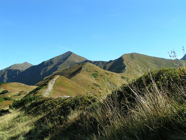 特里德尼奥维安斯基·维尔奇 山 线索 - 上的免费照片
