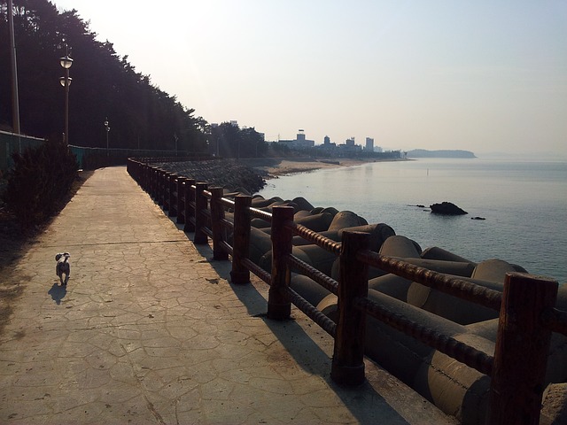 浪漫 海滩路 海路 - 上的免费照片