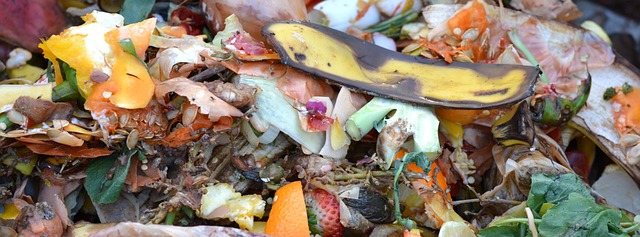 堆肥 水果和蔬菜废料 - 上的免费照片