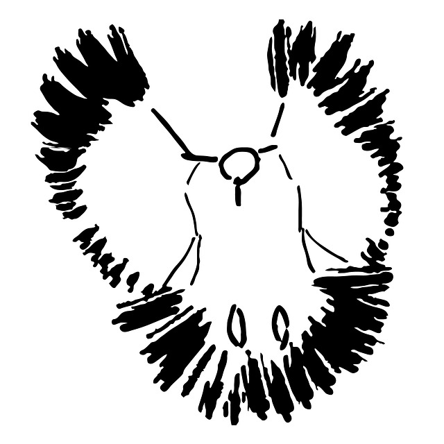 鸽子 鸟 航班 - 上的免费图片