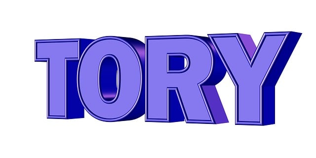 保守党 保守的 政治 - 上的免费图片