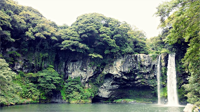 济州岛 济州 大自然 - 上的免费照片