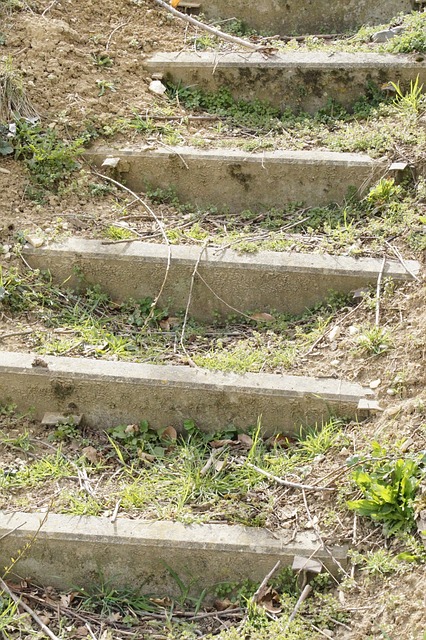 楼梯 阶段 小路 - 上的免费照片