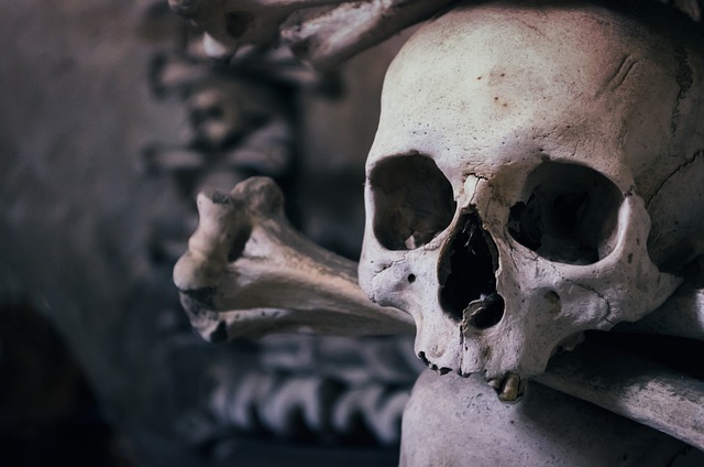 颅骨 骨库龛 捷克共和国 - 上的免费照片