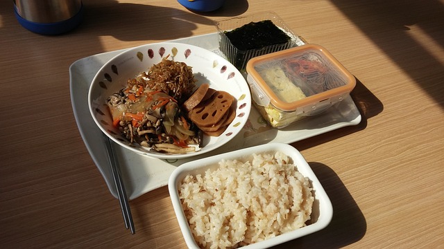 午餐盒 鲍勃 海藻 - 上的免费照片