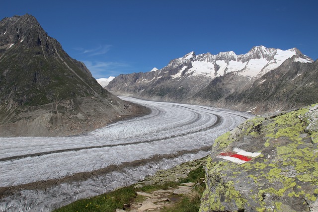 阿莱奇 Aletsch 冰川 - 上的免费照片