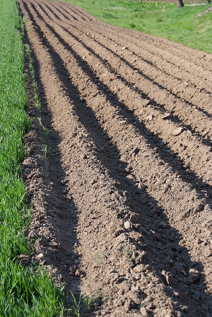 场地 地球 Orka - 上的免费照片