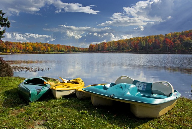 湖 船 桨船 - 上的免费照片