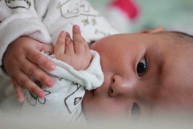 婴儿 童趣 - 上的免费照片