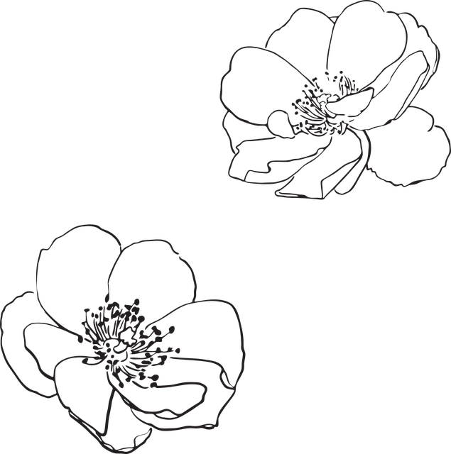 玫瑰 荒野 花朵 - 免费矢量图形