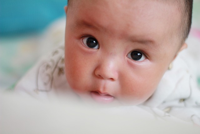 婴儿 可爱 快乐 - 上的免费照片