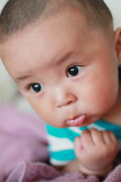 婴儿 可爱 快乐 - 上的免费照片