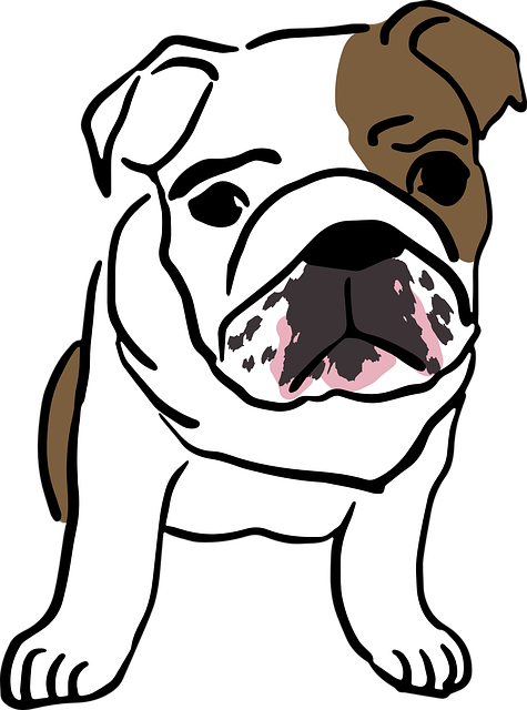 英语 斗牛犬 婴儿 - 免费矢量图形