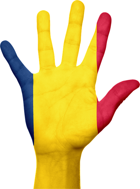 乍得 旗帜 手 - 上的免费图片