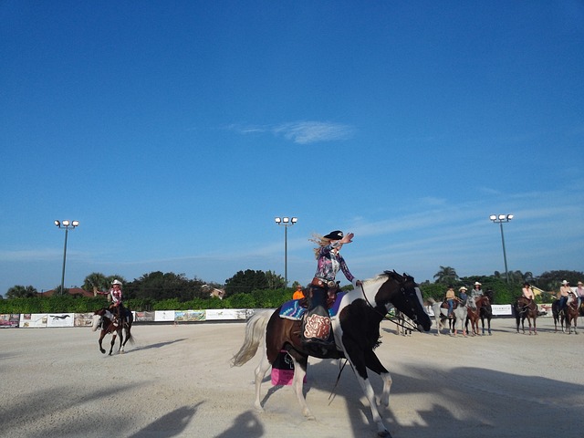 西部骑术 惠灵顿 马匹 - 上的免费照片
