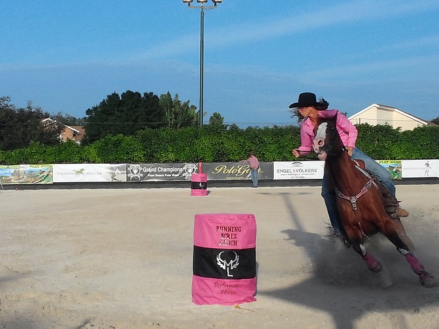 西部骑术 惠灵顿 马匹 - 上的免费照片