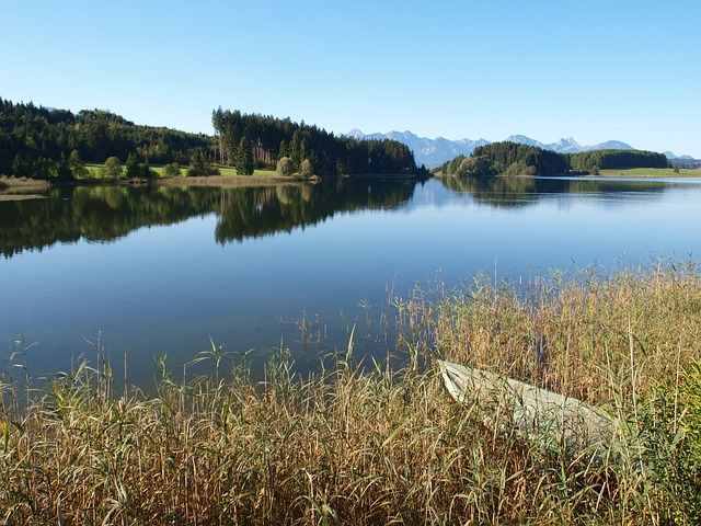 福根湖 水 河岸 - 上的免费照片