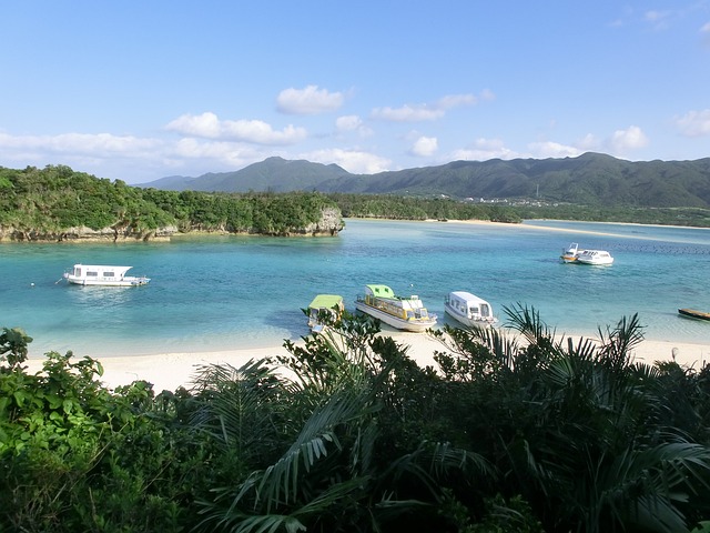 冲绳 石垣岛 海 - 上的免费照片