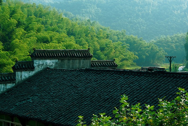 屋顶 瓦 四川宜宾 - 上的免费照片