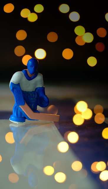 冰球 国际的 运动的 - 上的免费照片