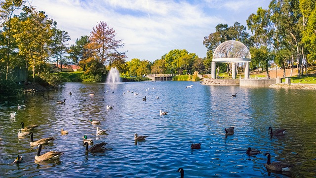 反而 水 喷泉 - 上的免费照片