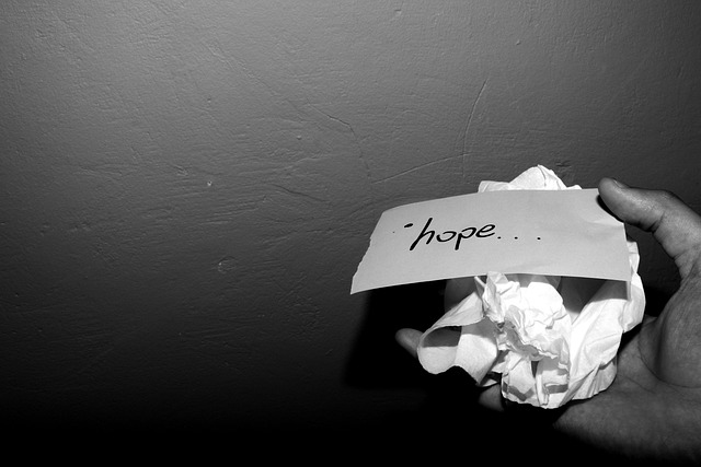 纸 碎 希望 - 上的免费照片