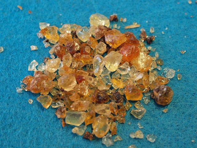 阿拉伯树胶 金合欢树脂 活页夹 - 上的免费照片