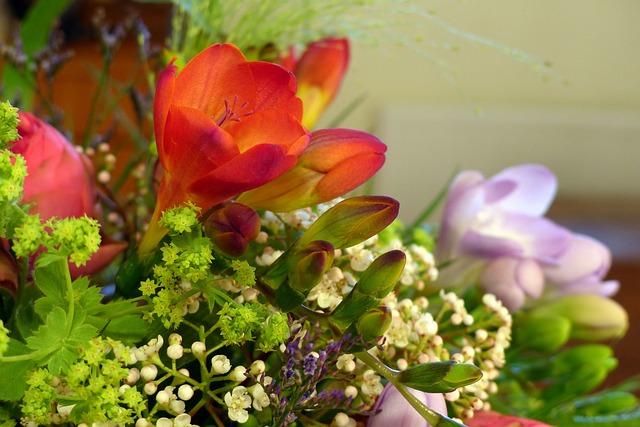 一束花朵 小苍兰 自然 - 上的免费照片