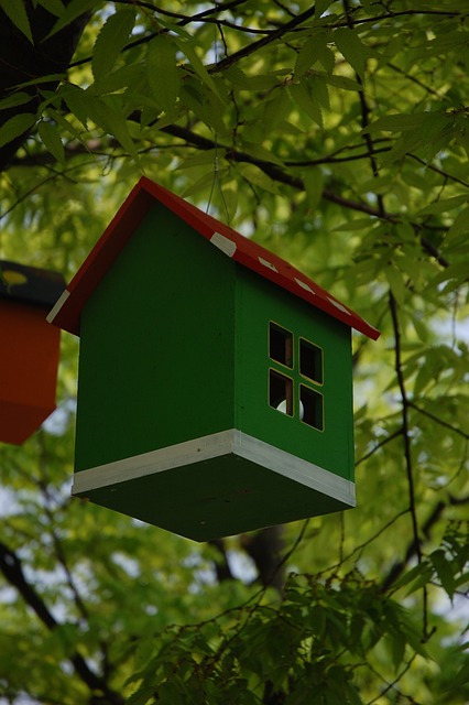 树 利基 春天 - 上的免费照片