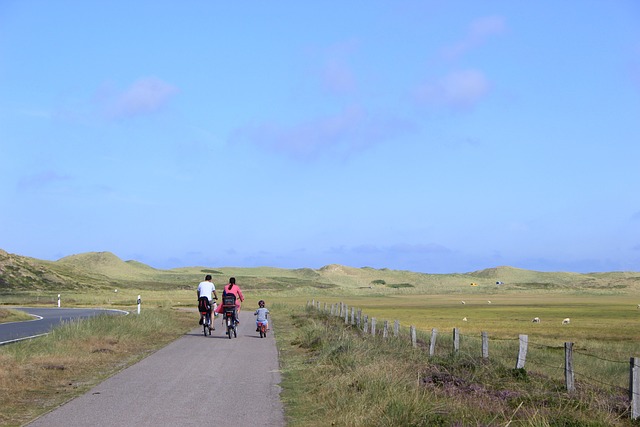 家庭 去骑自行车 自行车 - 上的免费照片