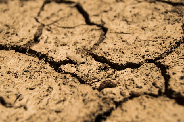 干旱 干燥 地球 - 上的免费照片