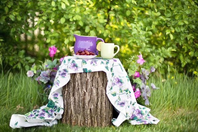 花园 茶会 下午茶 - 上的免费照片